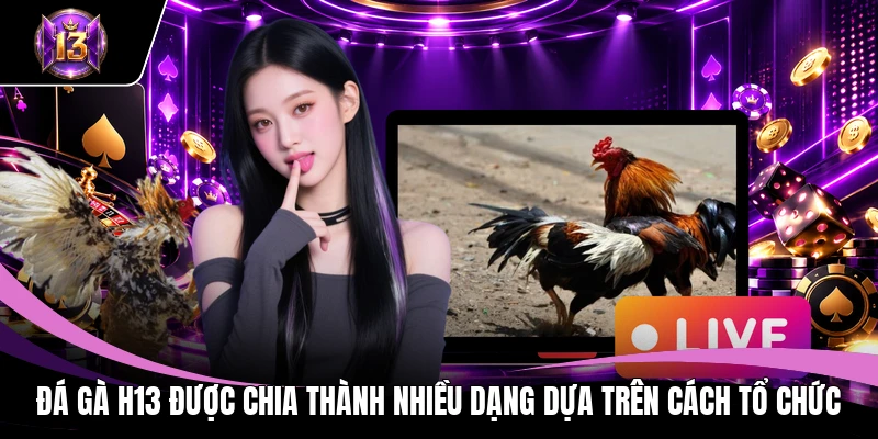 Đá gà H13 được chia thành nhiều dạng dựa trên cách tổ chức