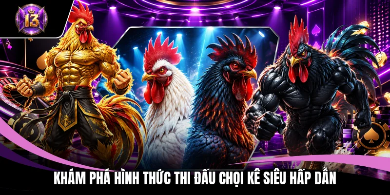 Khám phá hình thức thi đấu chọi kê siêu hấp dẫn