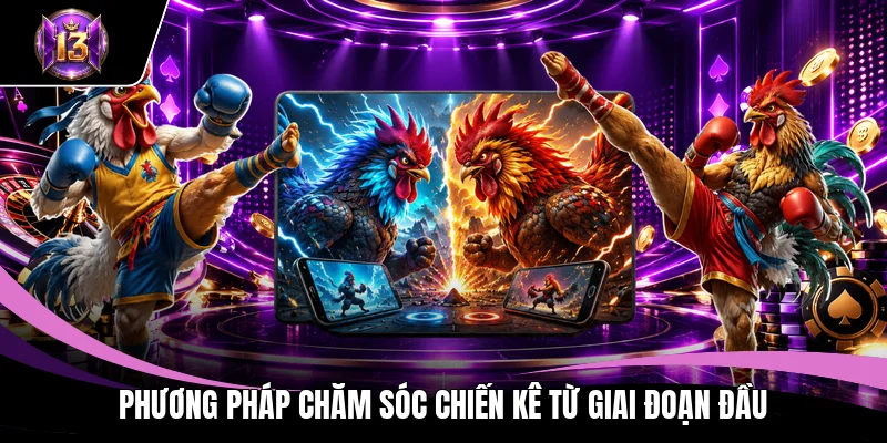 Phương pháp chăm sóc chiến kê từ giai đoạn đầu