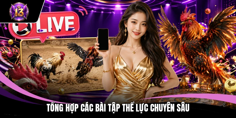 Tổng hợp các bài tập thể lực chuyên sâu